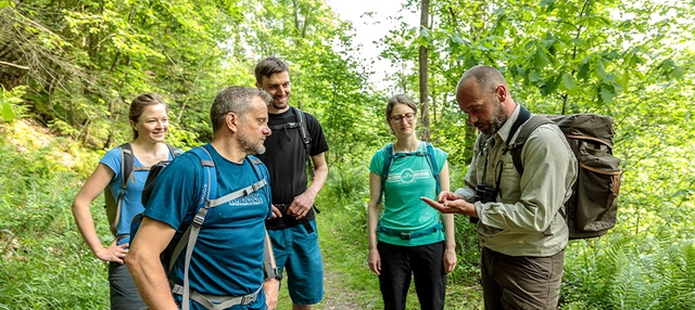 Gruppe von Wanderer im Wald mit Guide.