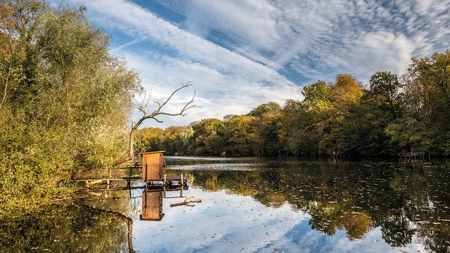 Routen_PfälzerRheinauen_Hero_C-PfalzTouristik.png Routen_PfälzerRheinauen_Hero_C-PfalzTouristik.png