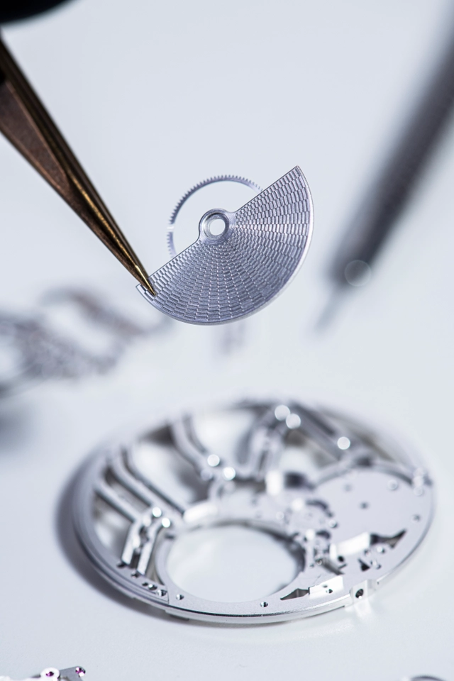 Speake Marin Ripples Skeleton, Rotor