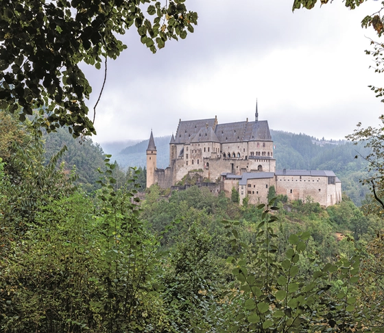 Ausblick auf eine Burg durch die Blätter eines Baumes