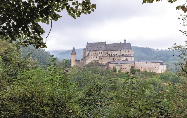 Ausblick auf eine Burg durch die Blätter eines Baumes