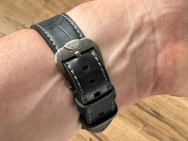 Squale Master buckle