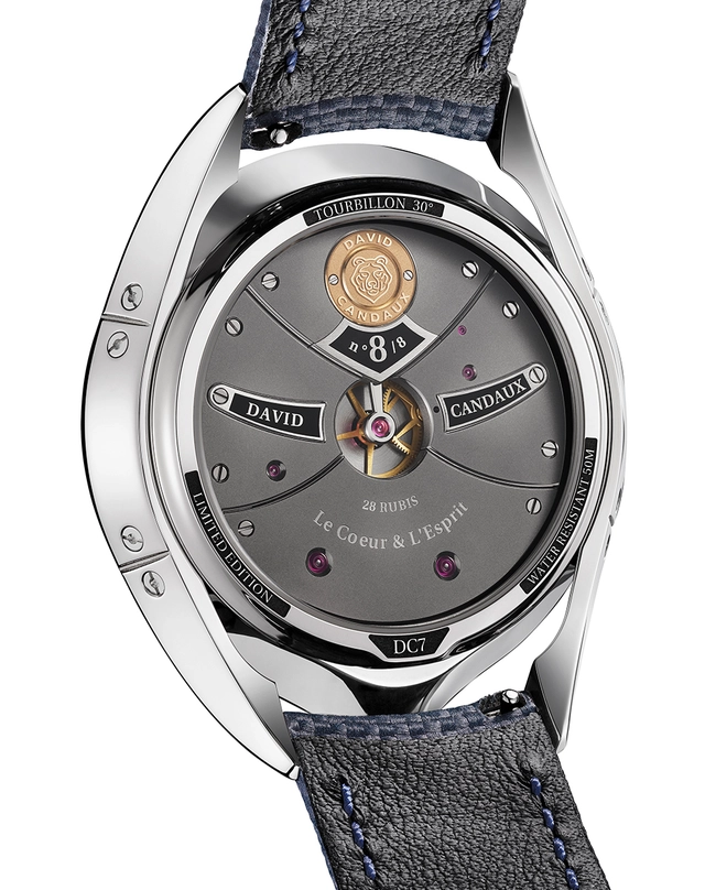 WatchTime-DavidCandaux-DC7BlueHawk-R%C3%BCckseite.jpg?width=640&format=webply