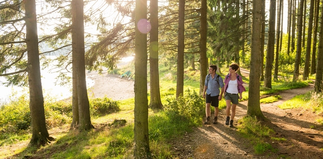 Zwei Personen beim Wandern in einem Wald in Ostbelgien.