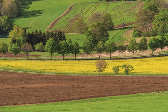 Wandern auf dem Harzer Hexen-Stieg bei Thale (1) Zwei Wanderer auf einem Wanderweg im Grünen
