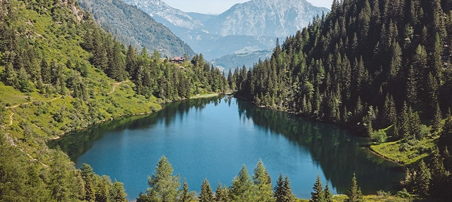 Blick auf Bergsee eingebetten von Wald und Bergen.