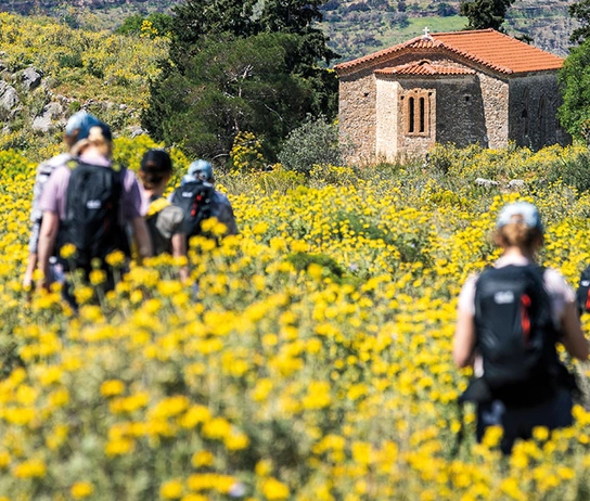 Mehrere Wandernde in gelb blühender Landschaft in Griechenland.
