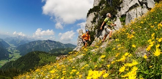 Zwei Wanderer während des Aufstiegs zwisschen gelben Blumen auf Bergwiese.