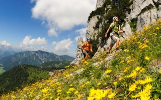 Zwei Wanderer während des Aufstiegs zwisschen gelben Blumen auf Bergwiese.