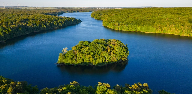 Landschaftsaufnahme von Wald und einem Gewässer.