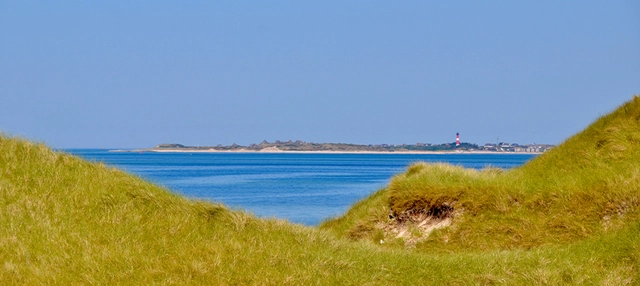 Fernblick in Richtung Küste auf Amrum.