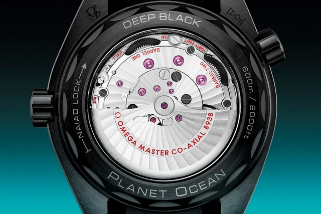 Rückseite der Omega Seamaster Planet Ocean Worldtimer