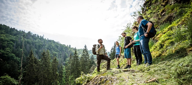 Eine Gruppe von Personen auf einer Wanderung im grünen. 