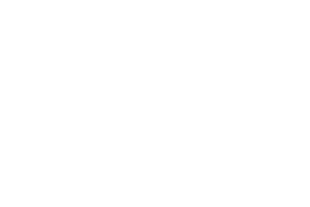 Partner-Logos-640x427-develappers.png