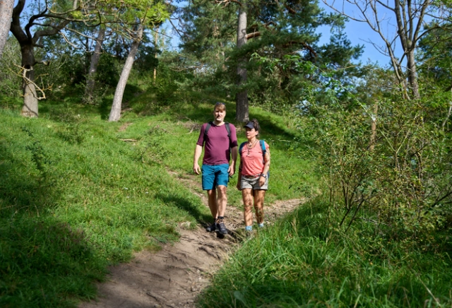 Zwei Wanderer auf einem Wanderweg im Grünen
