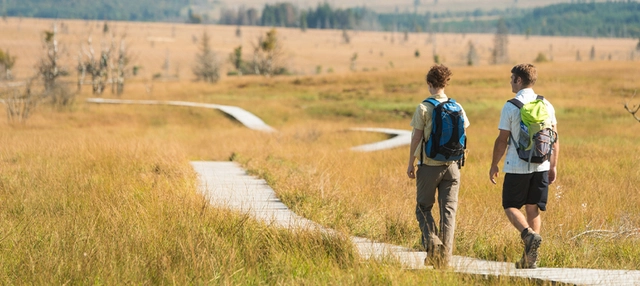 Zwei Personen auf einem Wanderweg in Ostbelgien.