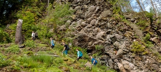 Wandergruppe geht entlang einer Felswand durch den Wald hinauf.