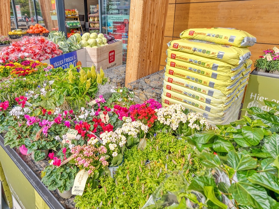 REWE Markt Berlin / Lichtenberg - Gotlindestr. 40a