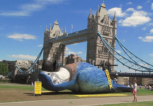 Unlike the parrot in the Monty Python sketch, OpenStack is not dead. (Source: David Holt, "Monty Python Dead Parrot Tower Bridge," [CC BY 2.0])