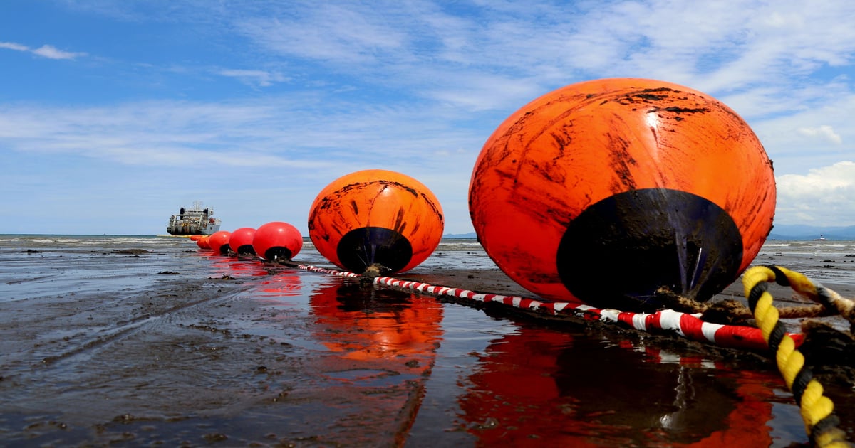 PLDT boosts international data capacity by 33% with new Apricot subsea ...