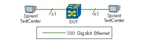 100-Gigabit Ethernet Throughput Test Topology (IPv4 or IPv6)