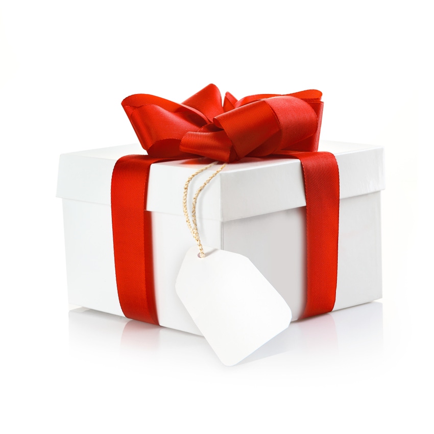Gift with blank tag and a decorative red ribbon and bow on a white studio background
