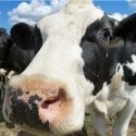 AT&T Starts to Milk the Time Warner Cash Cow