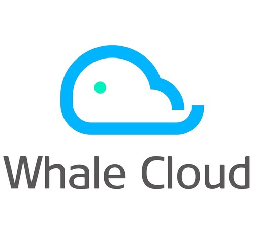 Whale Cloud Drives Projects to Speed 5G RoI