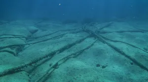 Subsea cables on ocean floor Subsea cables on ocean floor