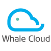 Picture of Whale Cloud