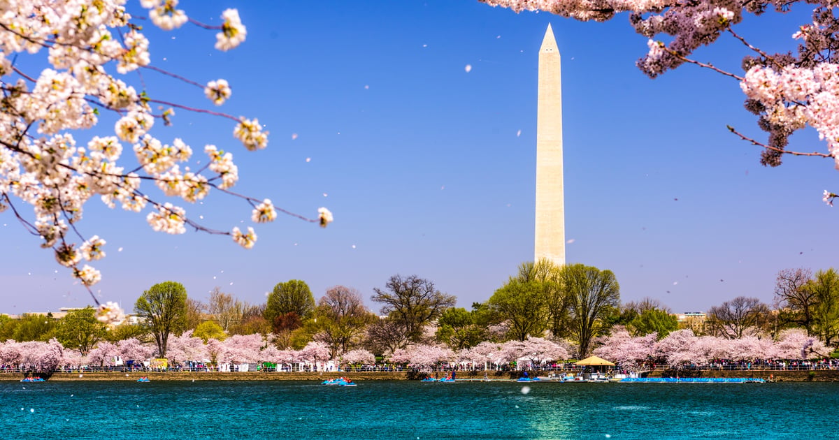 Senate eyes more spectrum for 5G – but not lower 3GHz