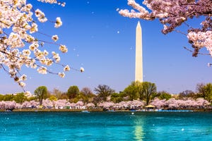 Washington Monument during spring 