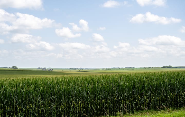 Iowa's cornfields just became a spectrum laboratory