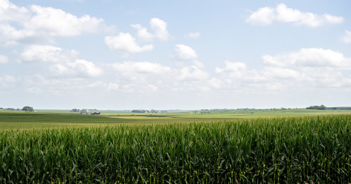 Iowa’s cornfields just became a spectrum laboratory Iowa’s cornfields just became a spectrum laboratory