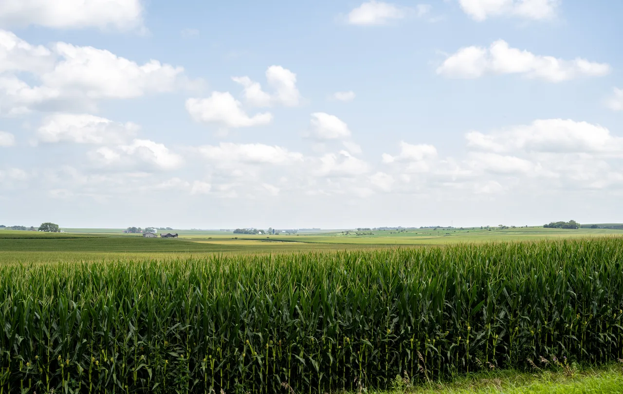 Light Spectrum Insects Iowa's cornfields just became a spectrum laboratory