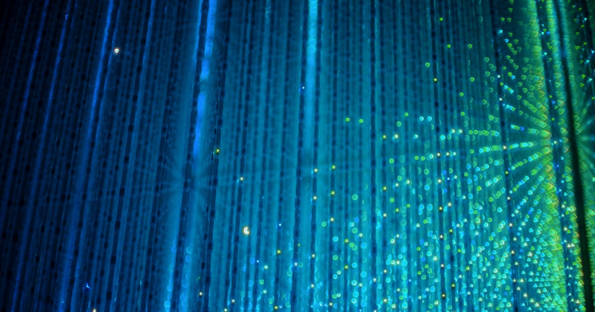 Rightfiber will explore M&A to fuel growth