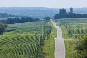 A rollercoaster gravel road in rural farmland with corn fields. A rollercoaster gravel road in rural farmland with corn fields.