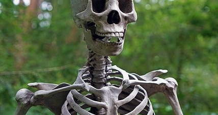 'Lean NFV' Aims to Reignite Virtualization - 'Lean NFV' Aims to ... - Light Reading