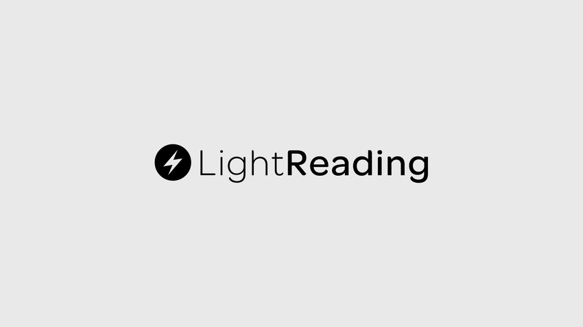Leading Lights 2016: The Finalists
