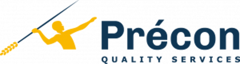 Lego Precon Consulting Group