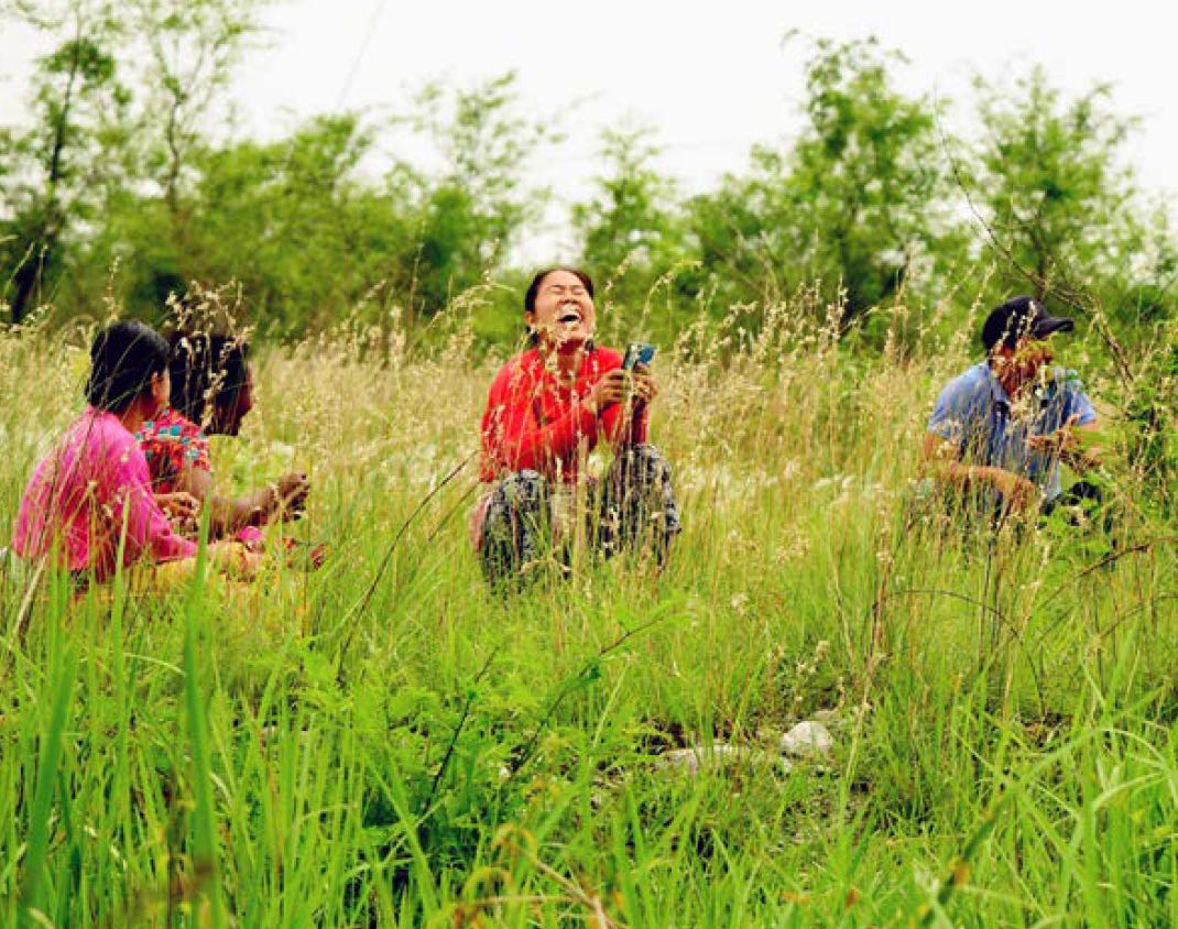 Reforestaction Inde