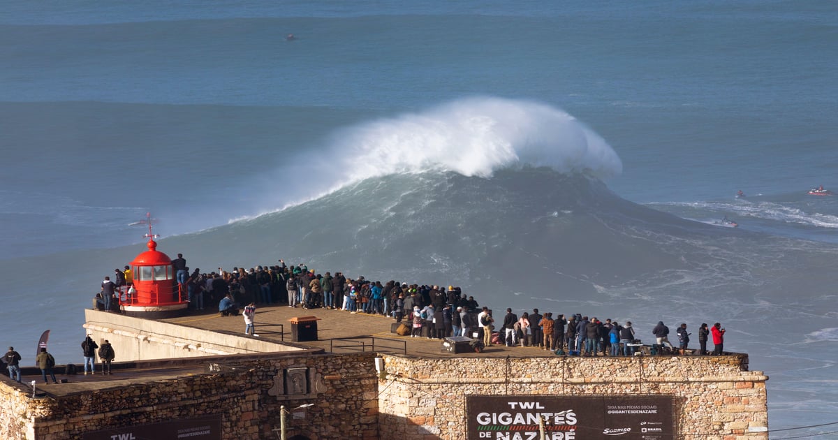 Focus on CX to Ride the AI Super Wave