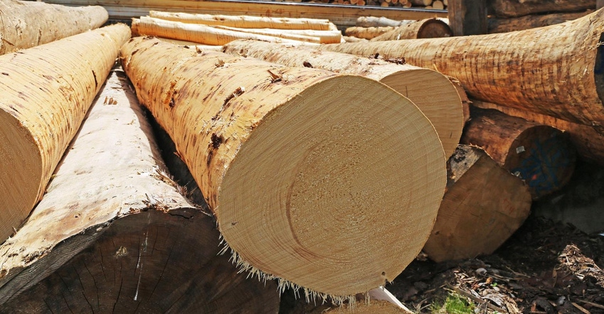 Construction timber in a sawmill in the Palatinate, Germany. Timber prices have almost tripled compared to the previous year