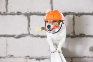 cute corgi construction dog in yellow hard hat sits on the repair site against the background of buildings and blue sky
