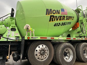 Buddy the dog hangs out on a Mon River mixing truck.