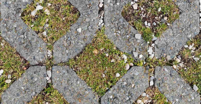 Open lattice pattern concrete pavers, with natural grass growing in between the stones, preventing soil erosion and allowing