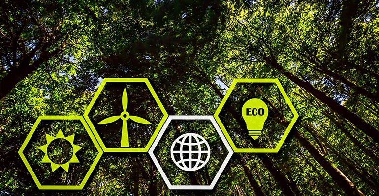 Four Sustainability Icons in Hexagon Shape in Front of a Lush Green Forest