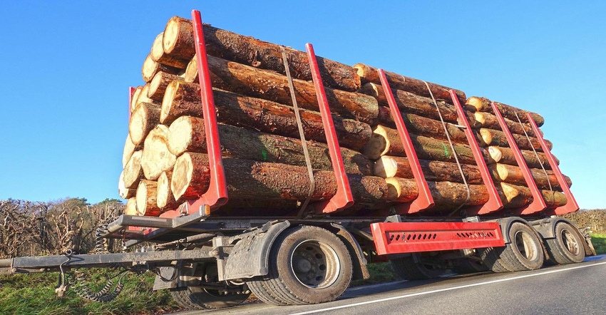 Lumber logs stacked on top of one another on top of a truck against the background of a blue sky