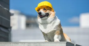 cute corgi construction dog in yellow hard hat sits on the repair site against the background of buildings and blue sky cute corgi construction dog in yellow hard hat sits on the repair site against the background of buildings and blue sky