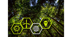 Four Sustainability Icons in Hexagon Shape in Front of a Lush Green Forest